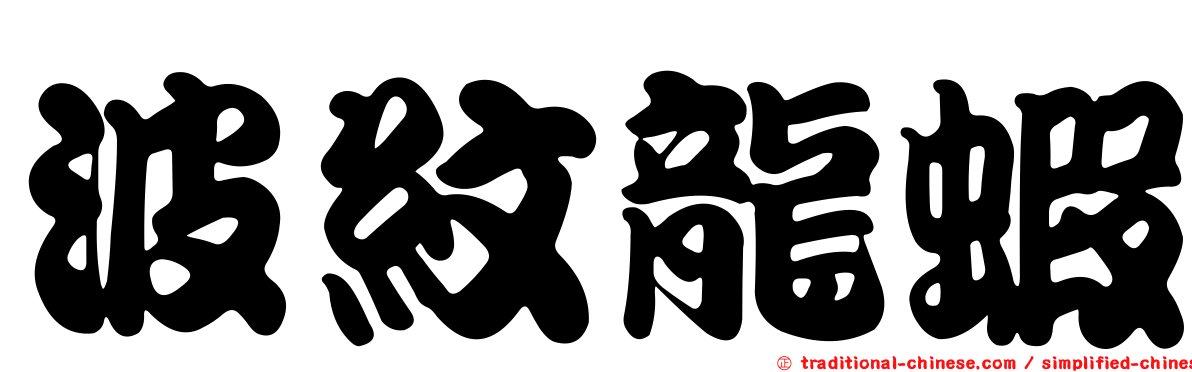 波紋龍蝦