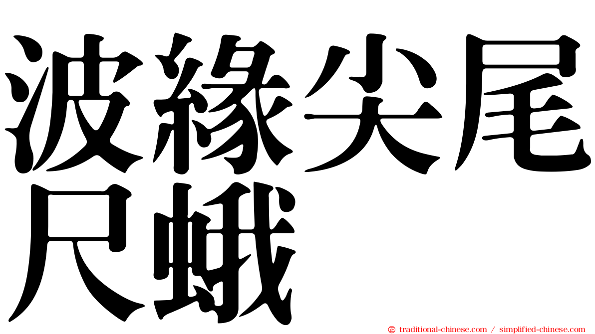 波緣尖尾尺蛾