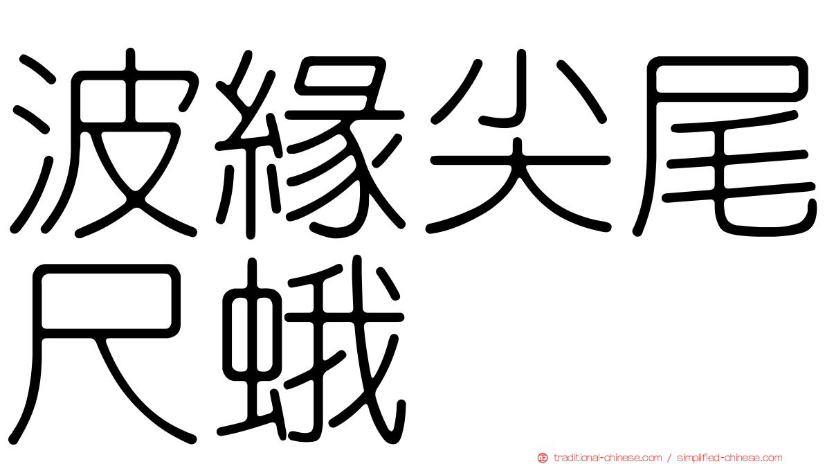 波緣尖尾尺蛾