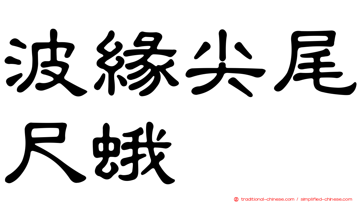 波緣尖尾尺蛾