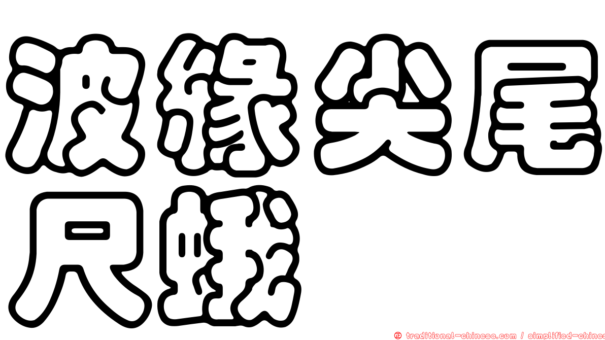 波緣尖尾尺蛾