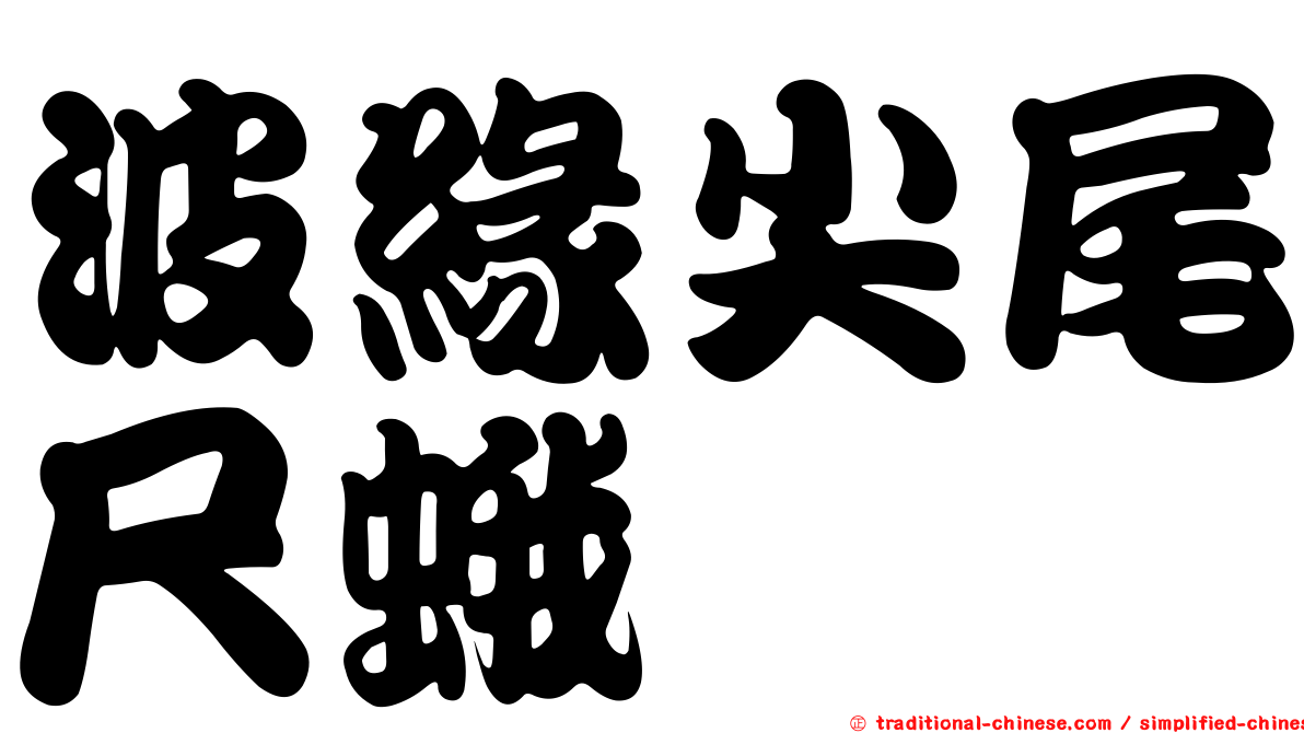 波緣尖尾尺蛾