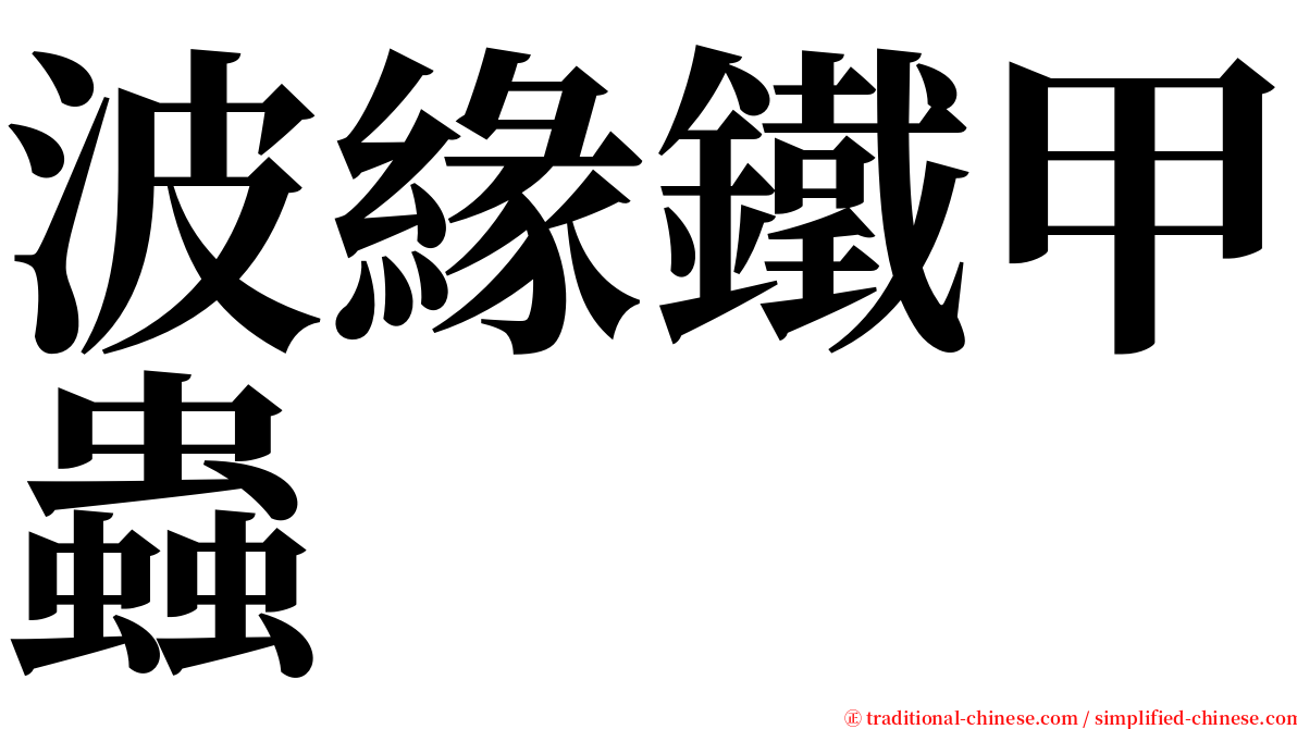 波緣鐵甲蟲 serif font