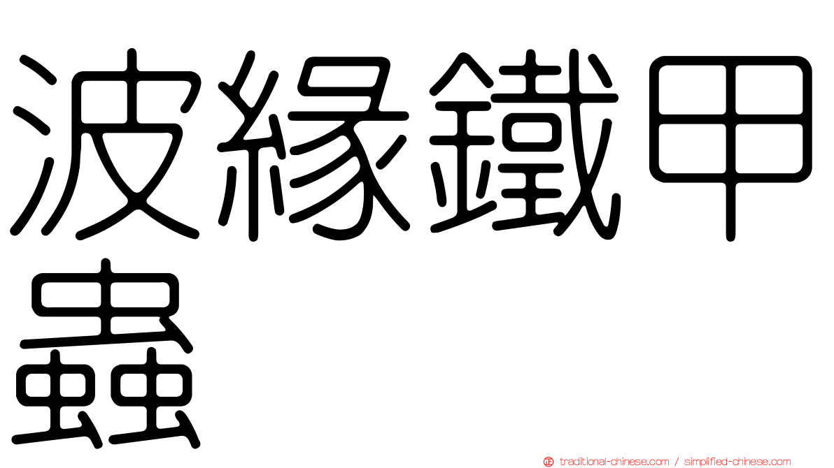 波緣鐵甲蟲