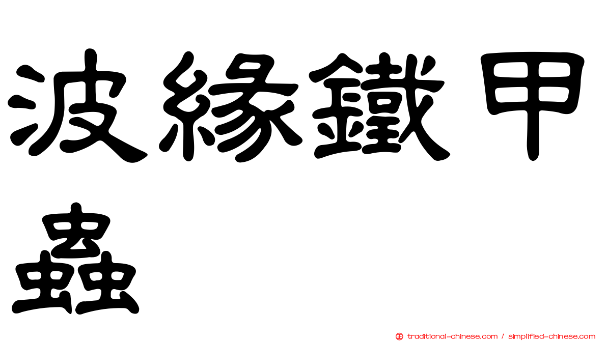 波緣鐵甲蟲