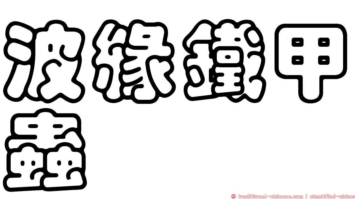 波緣鐵甲蟲