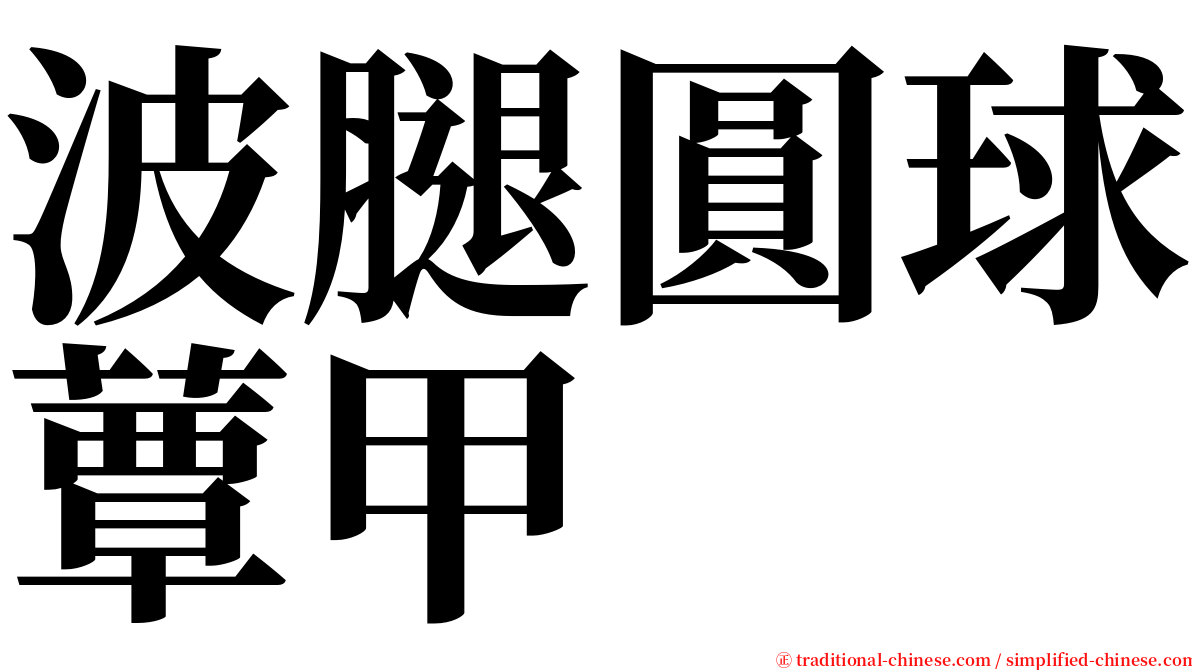波腿圓球蕈甲 serif font