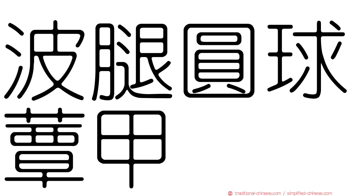 波腿圓球蕈甲