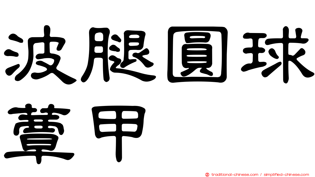 波腿圓球蕈甲
