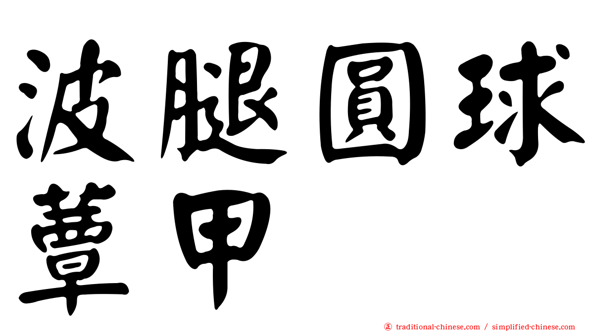 波腿圓球蕈甲