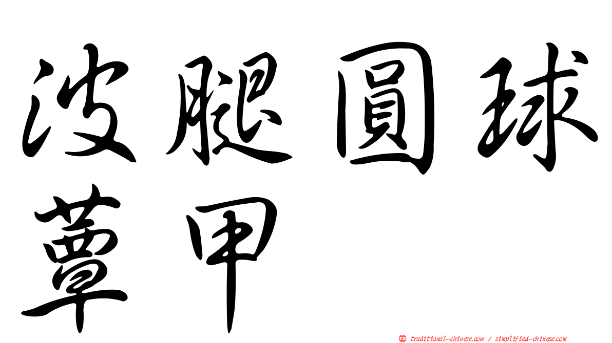 波腿圓球蕈甲