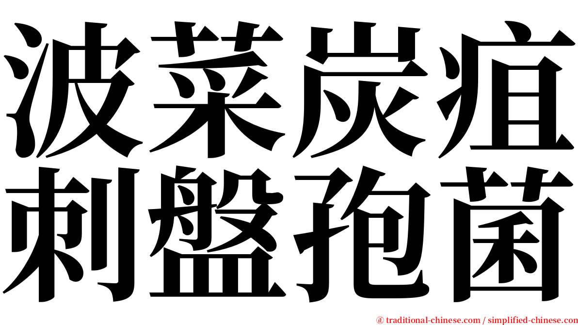 波菜炭疽刺盤孢菌 serif font