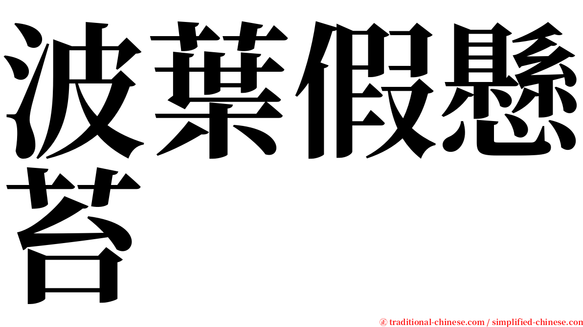 波葉假懸苔 serif font