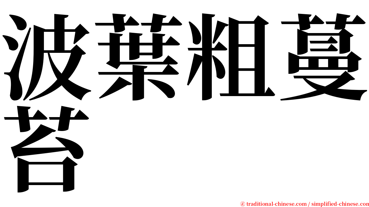 波葉粗蔓苔 serif font