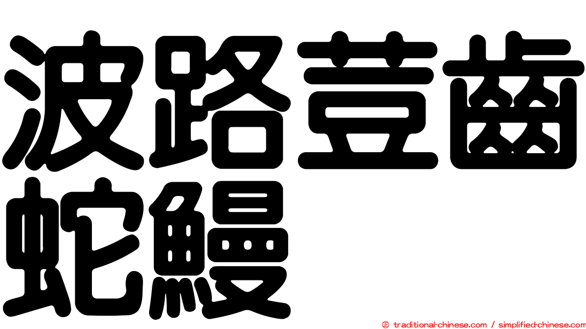 波路荳齒蛇鰻