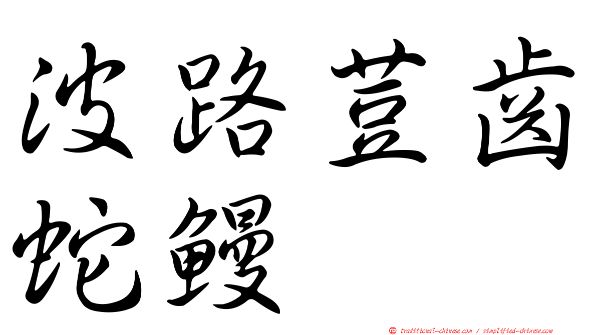 波路荳齒蛇鰻