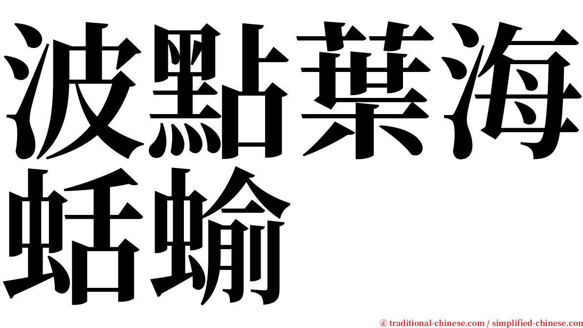 波點葉海蛞蝓 serif font