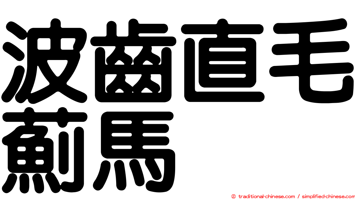 波齒直毛薊馬