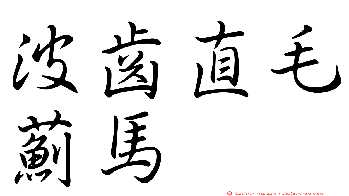 波齒直毛薊馬
