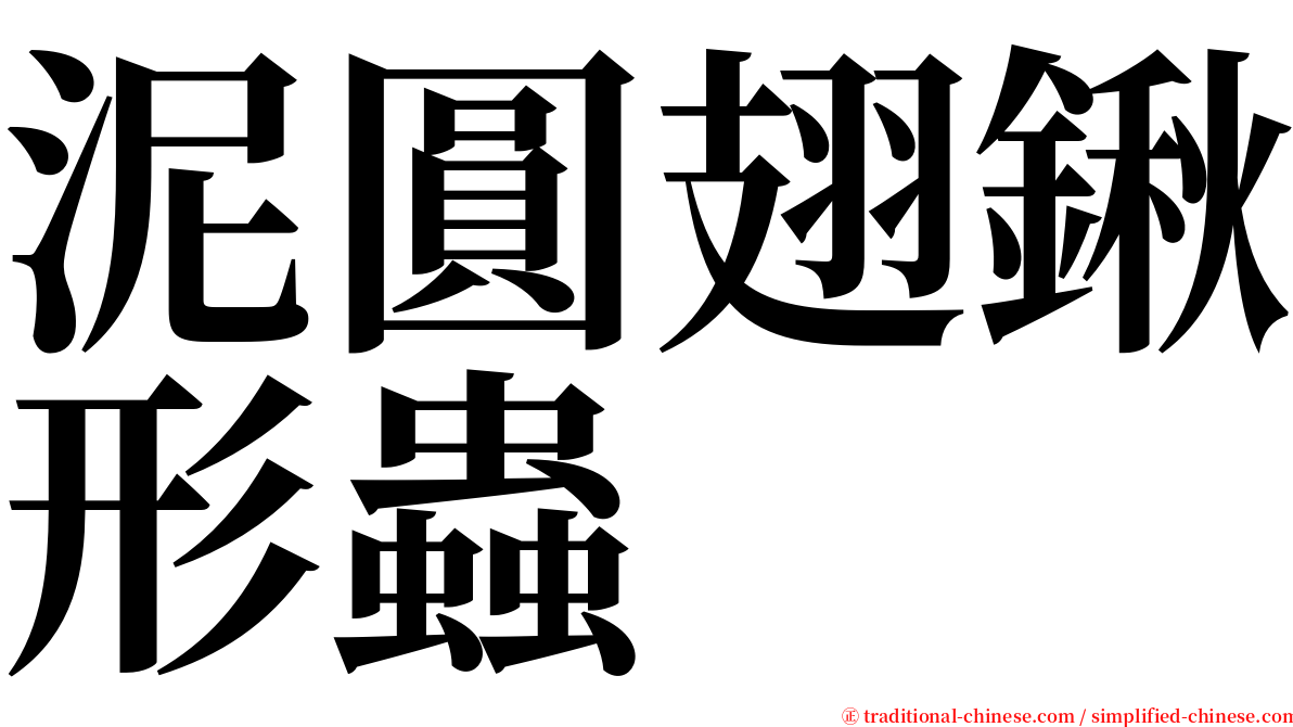 泥圓翅鍬形蟲 serif font