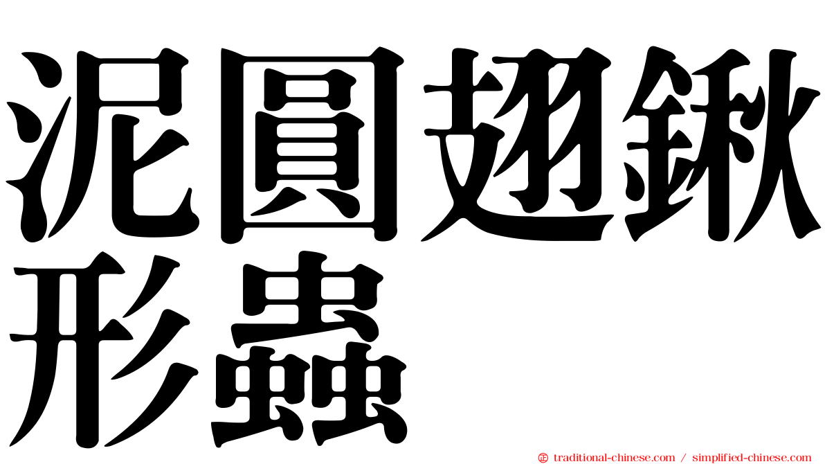 泥圓翅鍬形蟲