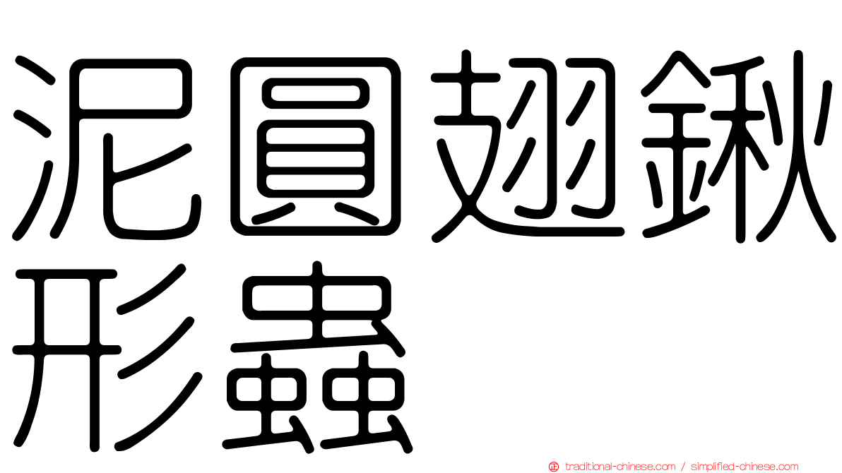 泥圓翅鍬形蟲