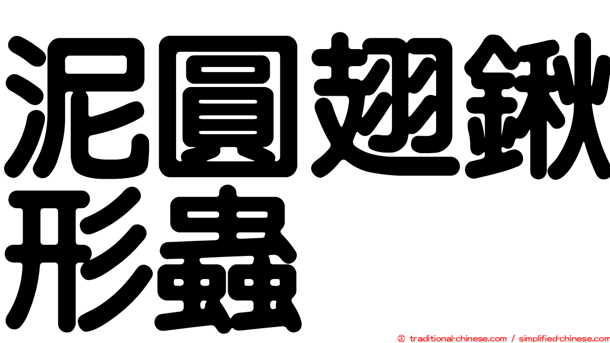 泥圓翅鍬形蟲