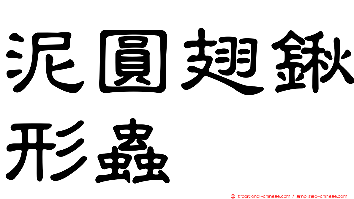 泥圓翅鍬形蟲