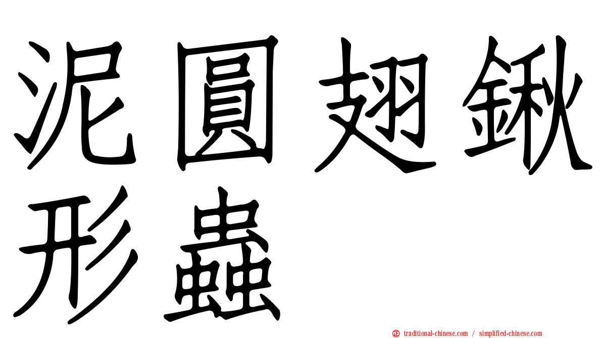 泥圓翅鍬形蟲