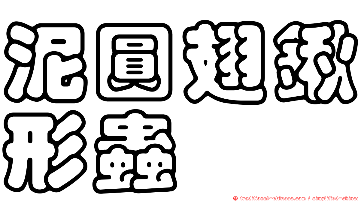 泥圓翅鍬形蟲