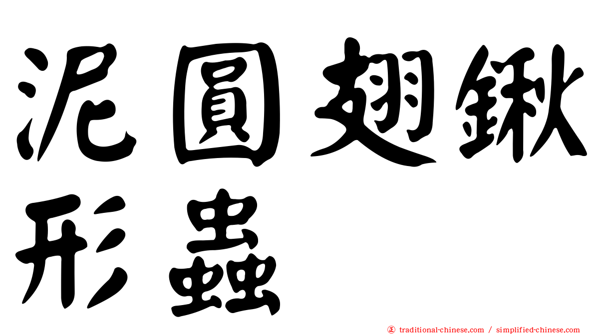 泥圓翅鍬形蟲