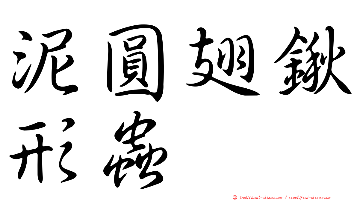 泥圓翅鍬形蟲