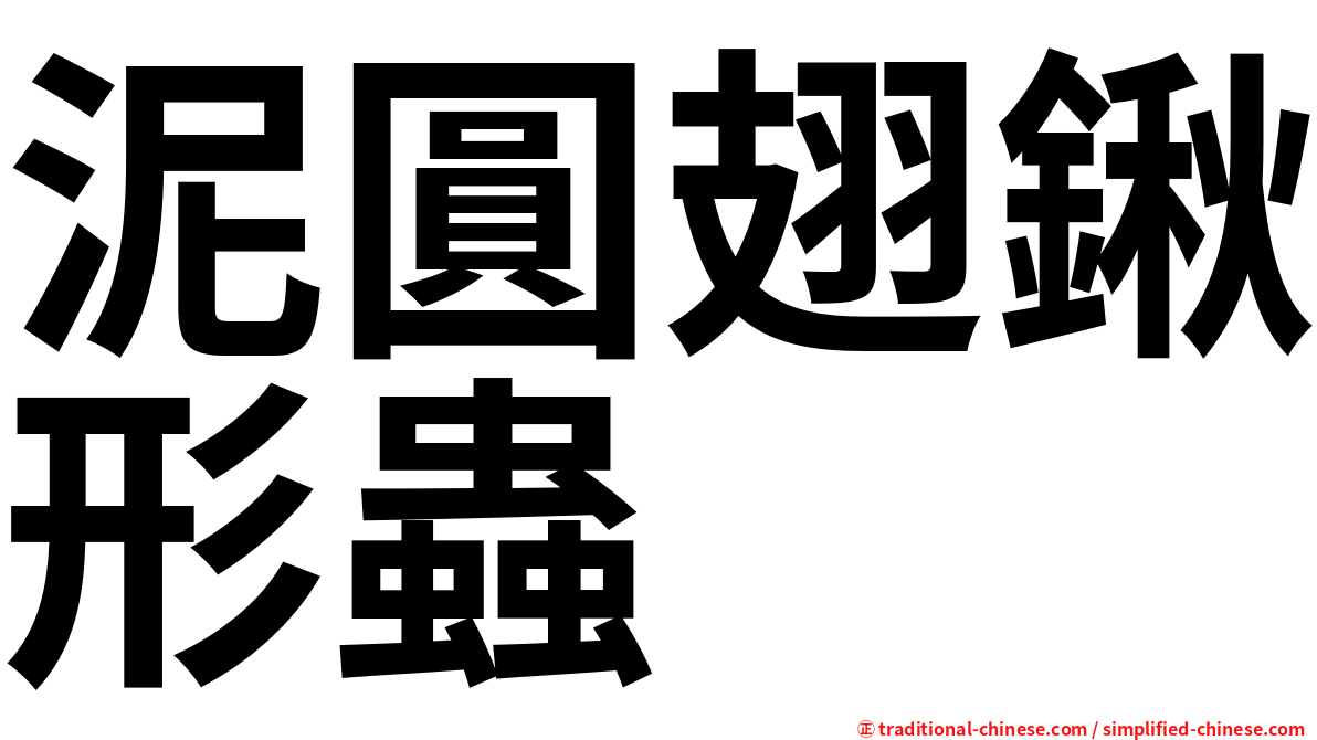 泥圓翅鍬形蟲