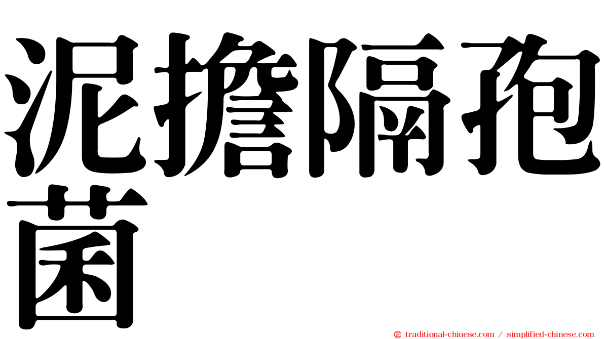 泥擔隔孢菌