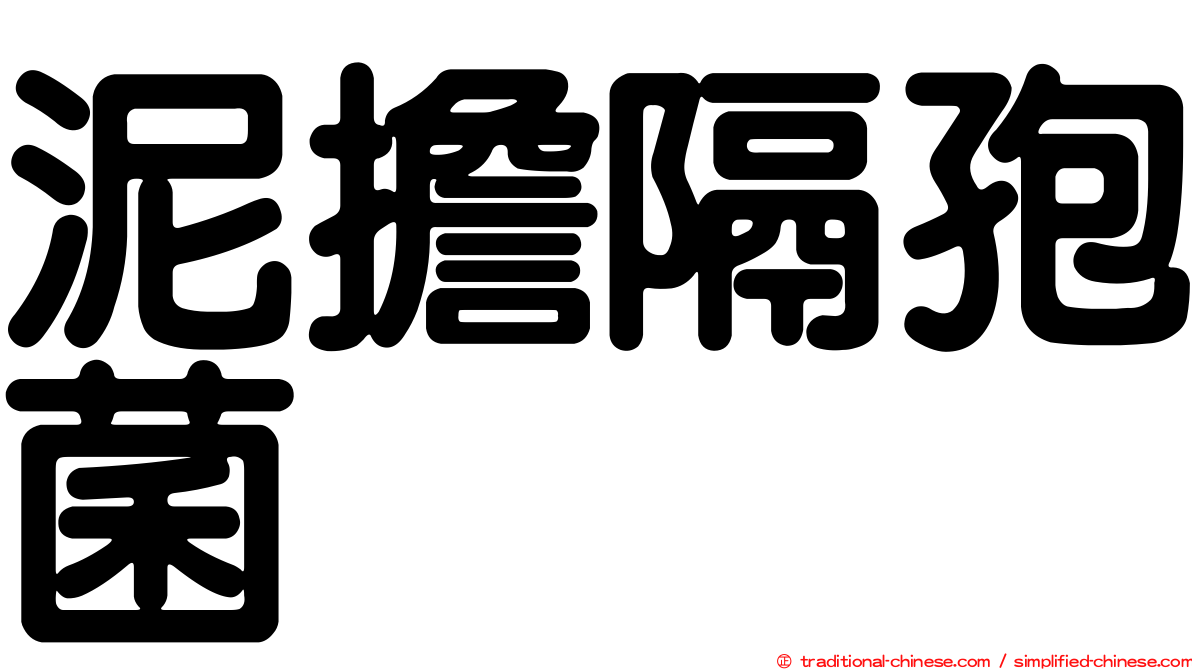 泥擔隔孢菌