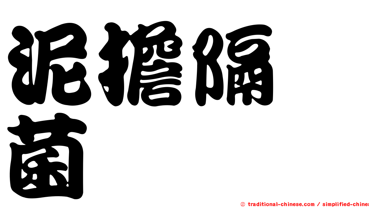 泥擔隔孢菌