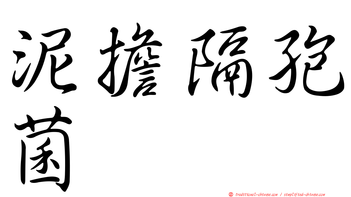 泥擔隔孢菌