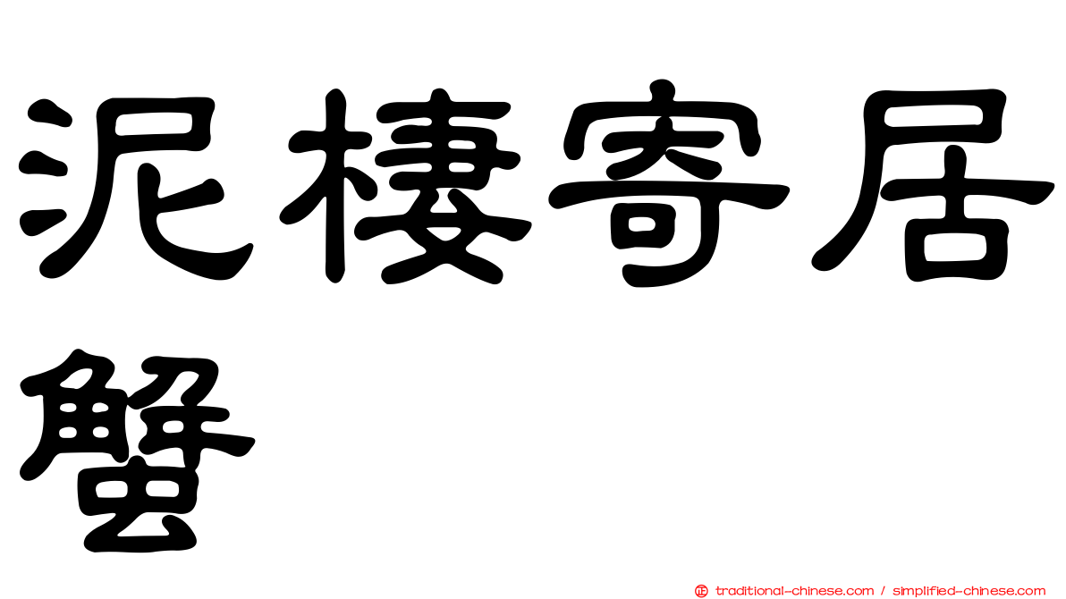 泥棲寄居蟹