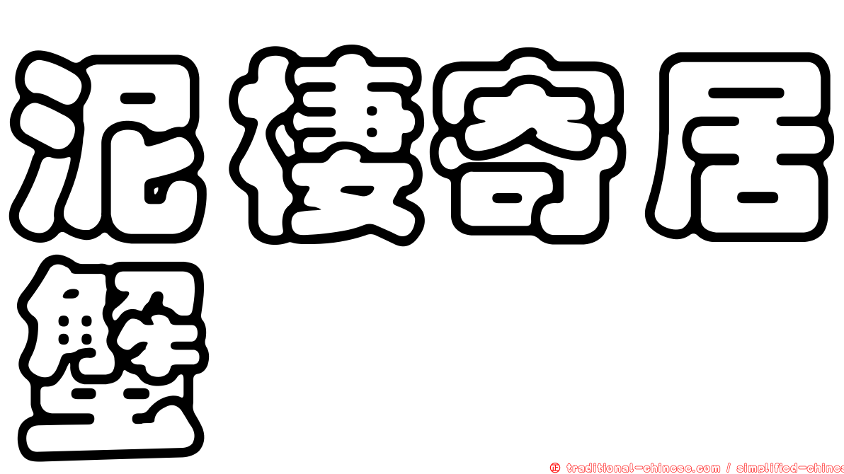 泥棲寄居蟹