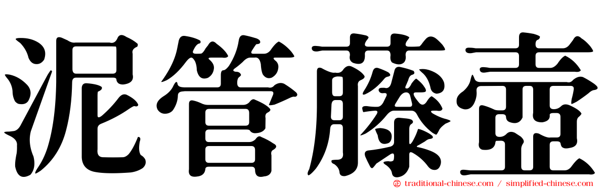 泥管藤壺