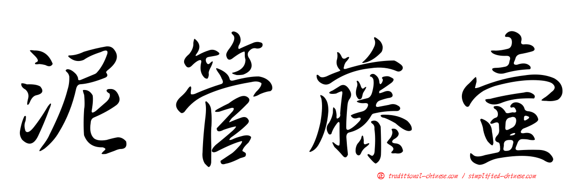 泥管藤壺