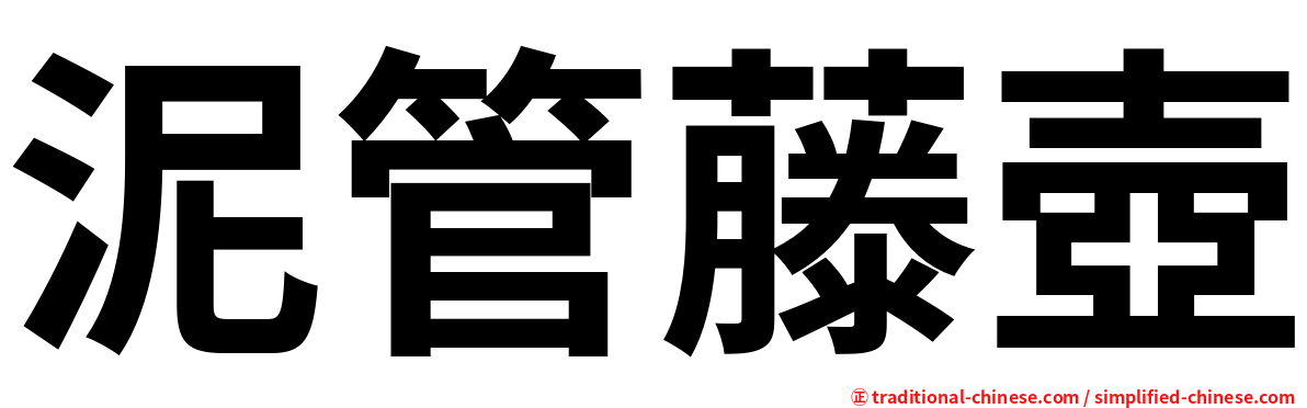 泥管藤壺