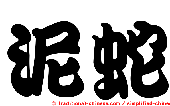 泥蛇