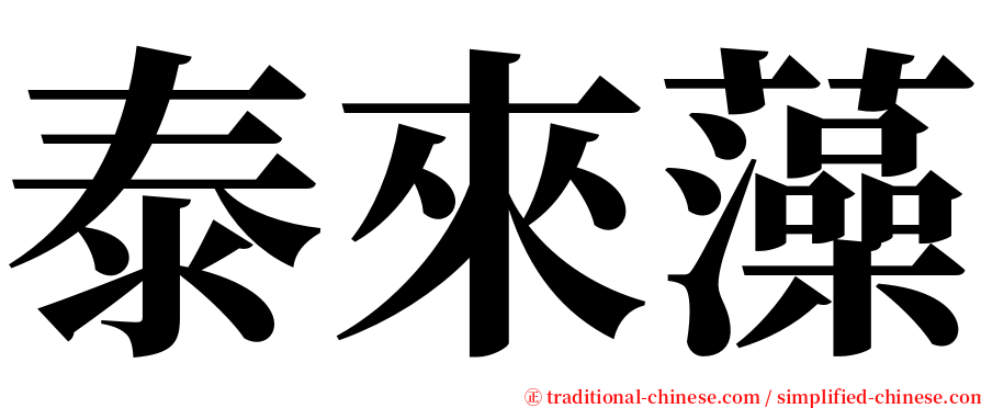 泰來藻 serif font