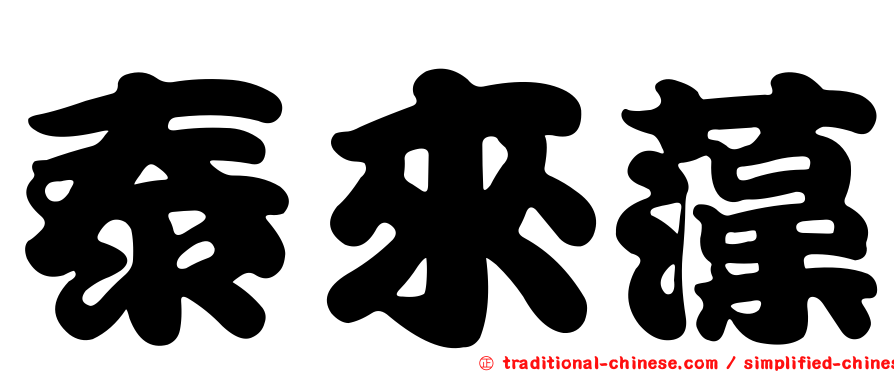 泰來藻