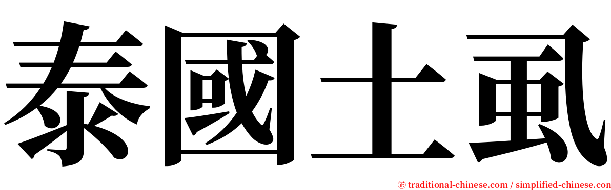 泰國土虱 serif font
