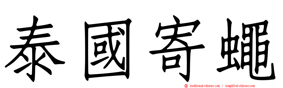 泰國寄蠅