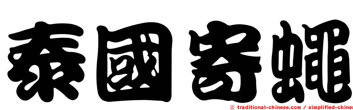 泰國寄蠅