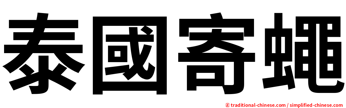 泰國寄蠅