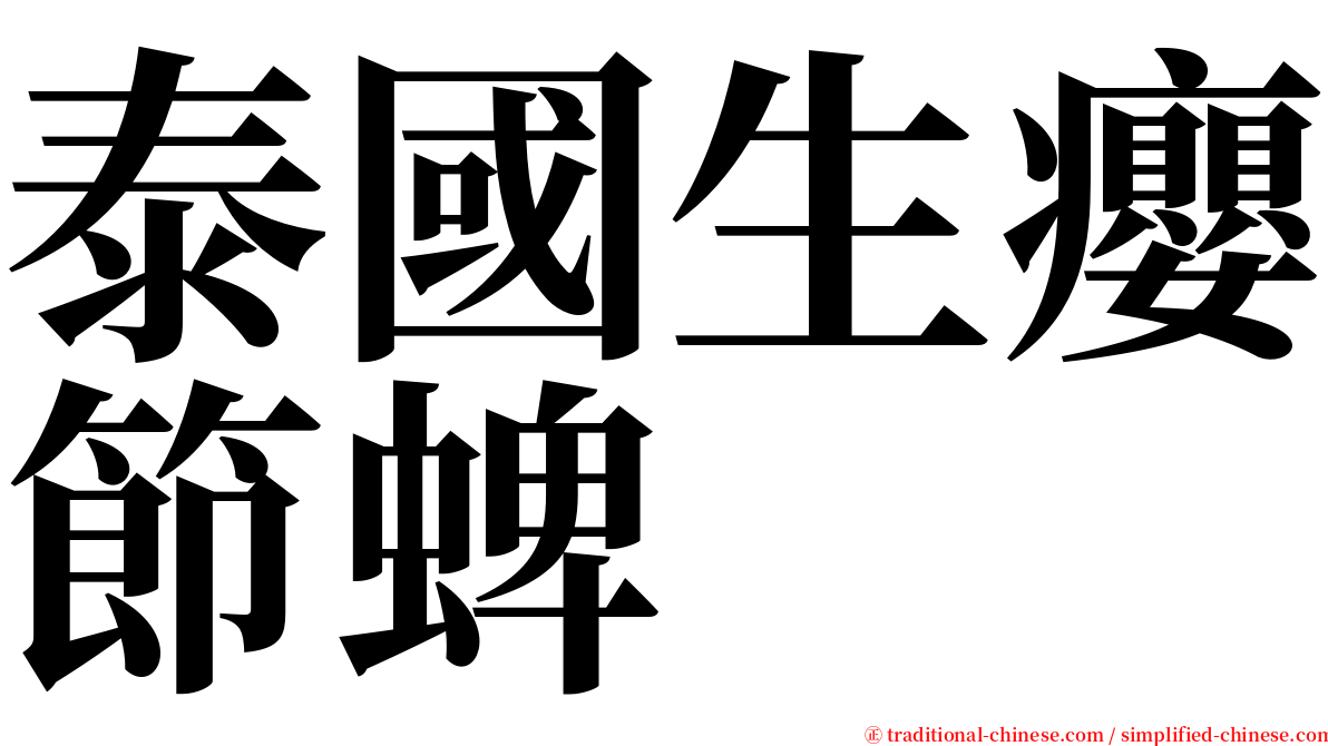 泰國生癭節蜱 serif font